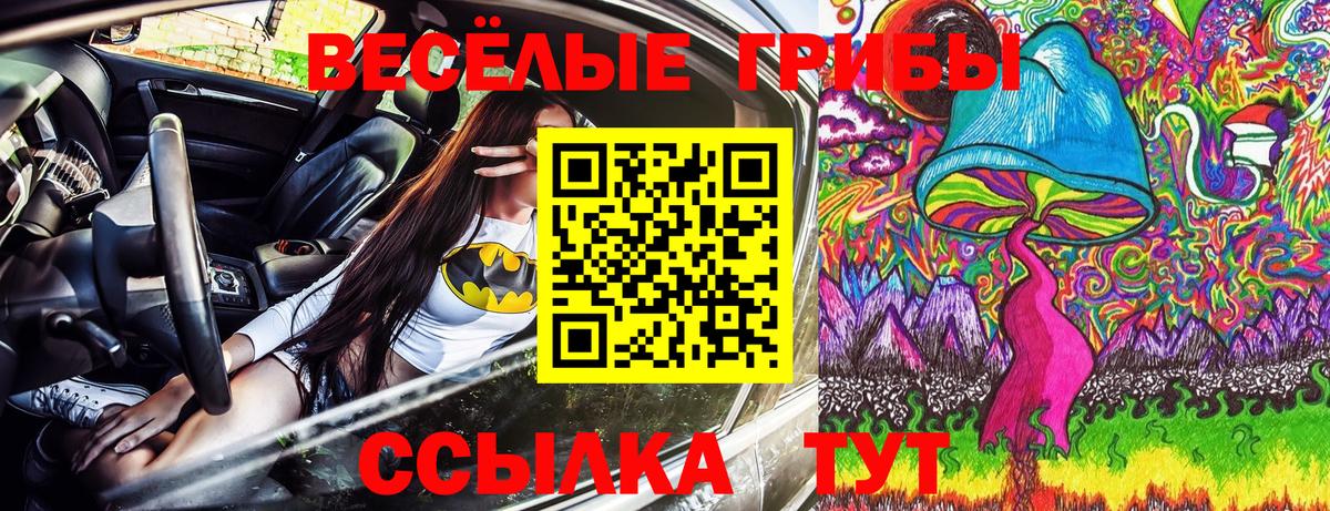 Псилоцибиновые грибы Psilocybe Нягань